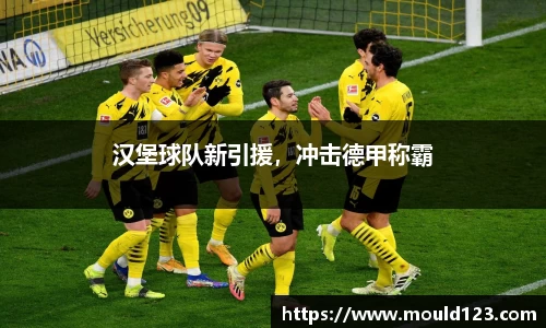 汉堡球队新引援，冲击德甲称霸