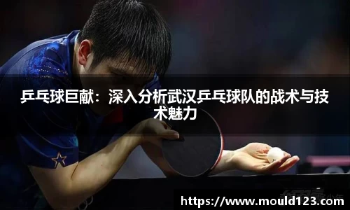 乒乓球巨献：深入分析武汉乒乓球队的战术与技术魅力
