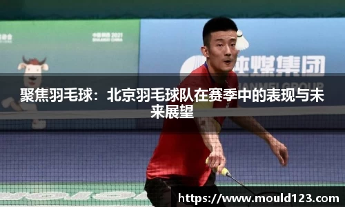 聚焦羽毛球：北京羽毛球队在赛季中的表现与未来展望