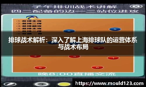 排球战术解析：深入了解上海排球队的运营体系与战术布局