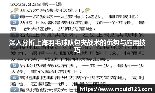 深入分析上海羽毛球队包夹战术的优势与应用技巧