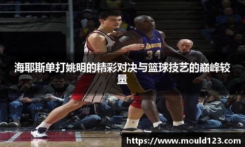 海耶斯单打姚明的精彩对决与篮球技艺的巅峰较量