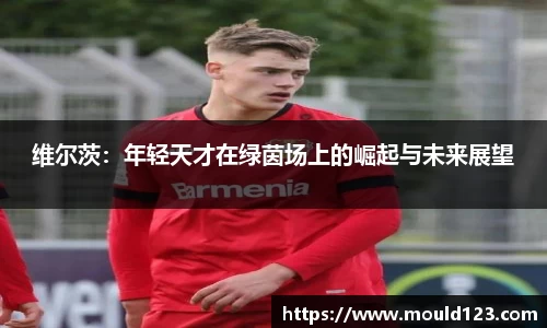维尔茨：年轻天才在绿茵场上的崛起与未来展望